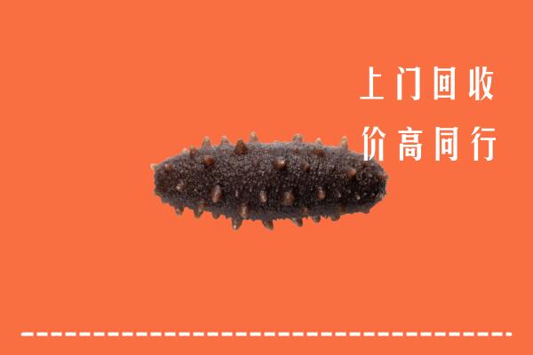 高价求购：思茅回收海参