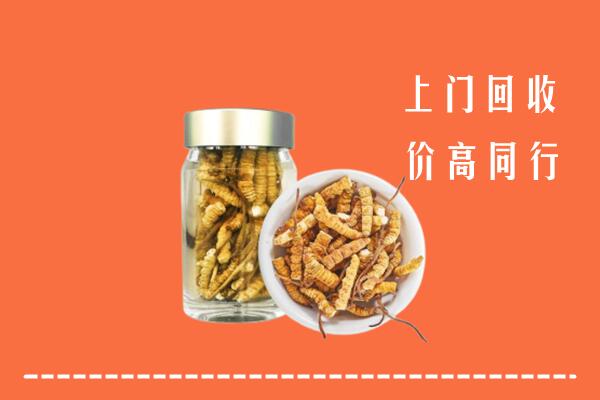 思茅回收冬虫夏草