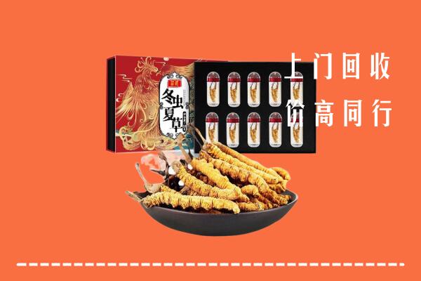 思茅回收虫草